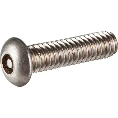 Budget 1/4-20 x 1/2" Tamper-Proof Security Cap Screw - Button Socket Head - 18-8 Stainless Steel - 100 Pk