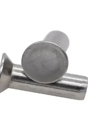 [200 PKG] Solid Rivets Round Head 18/8 Stainless Steel 5/32 X 1 Special Offer