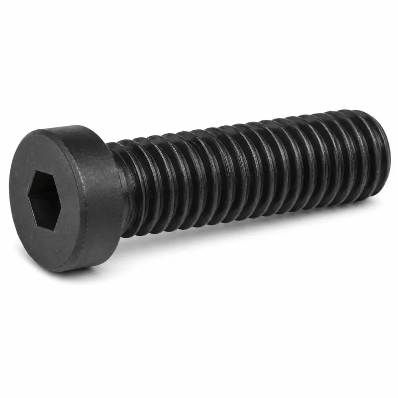 HOLO-KROME 69378 M5-0.8 X 25mm Socket Cap Screws Low Head Hex Socket Drive Alloy Steel Thermal Black Oxide (100 / Pkg.) In Demand