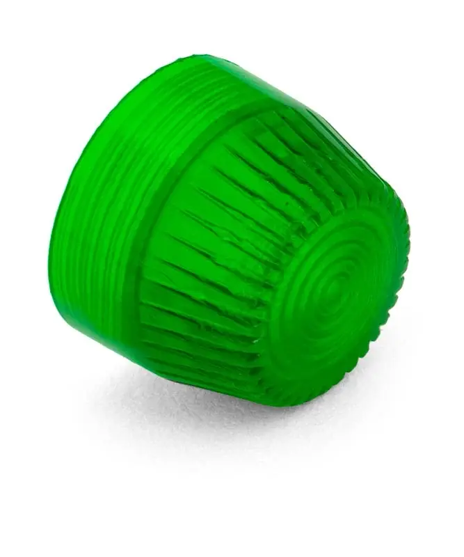 Schneider Electric 9001G29 Pilot Light Cap Buy Online