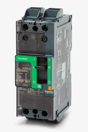 Affordable Square D BDL26030 - 30A 2 Pole Molded Case Circuit Breaker