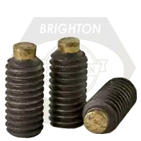 Limited Offer 8-32 x 5/8" Socket Set Screws, Brass-Tip, Plain Finish, Coarse (UNC), Alloy Steel, Qty 100
