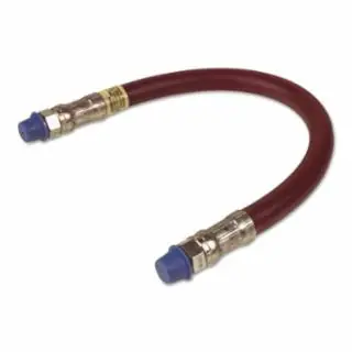 Buy Online Alemite B317850-1F 18" Hose