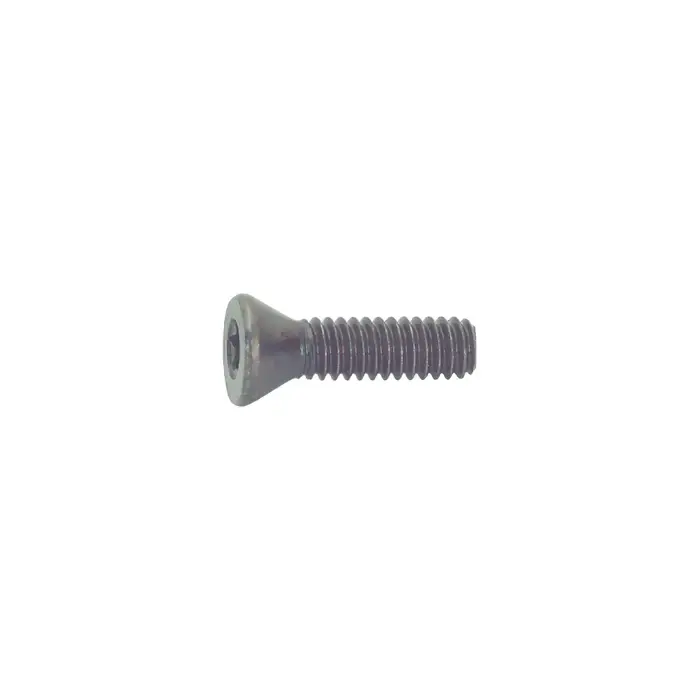 Genuine CARMEX - S27, Torx® Screw, S27