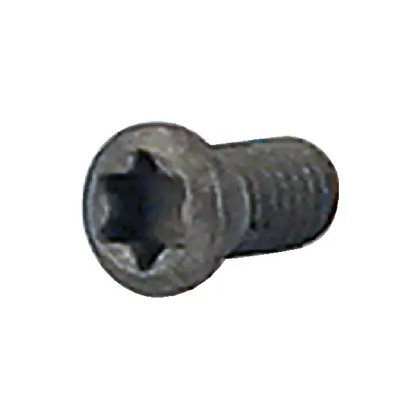 T&O - 1001, Torx® Screw, 1001 Trusted Brand