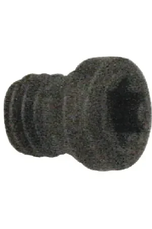 Authentic WALTER - PT-319T, Torx® Screw, 52263